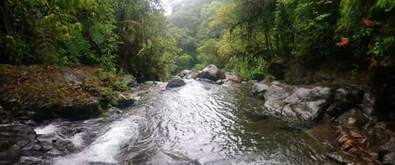 Darien Gap - 2
