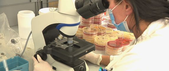 Legionella na zagrebačkom Ekonomskom fakultetu
