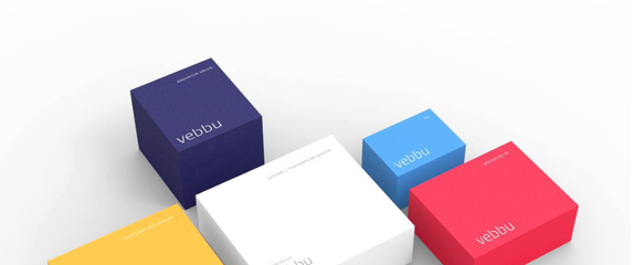 Vebbu je hrvatski startup koji će zasjeniti i Googleov Nest