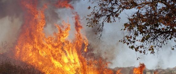 Požari u Kaliforniji (Foto: AFP) - 1