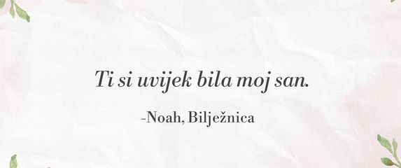 Citati iz filma Bilježnica - 10