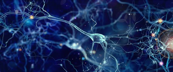 Neuroni u mozgu, ilustracija