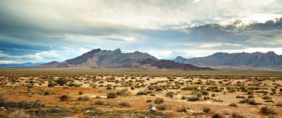 Pustinja Mojave
