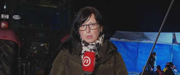 Marina Bešić Đukarić, reporterka Dnevnika Nove TV