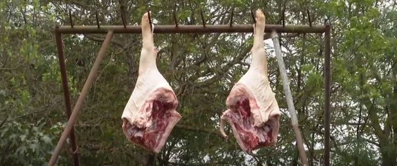 Stanje svinjskog mesa na tržištu - 5