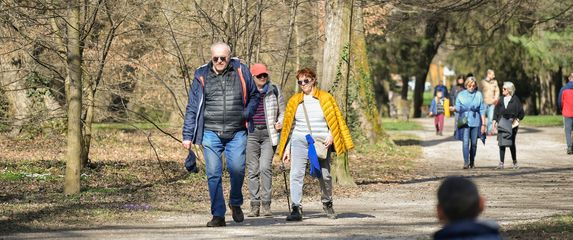 Maksimir, ilustracija