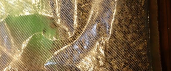 Zapljena u Varaždinu - 3