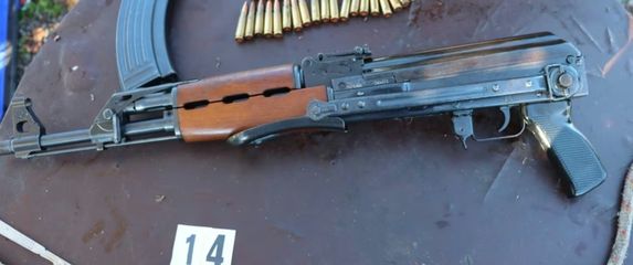 Policija upala u romska naselja kod Novog Mesta - 3