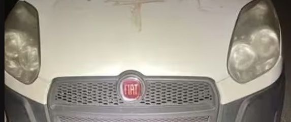 Auto umrljan krvlju sa svastikom