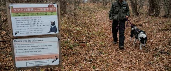Medvjedi sve češće viđeni u Japanu