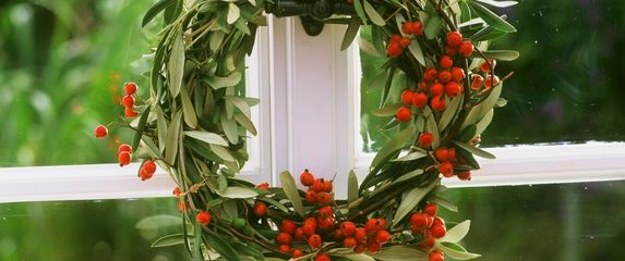Šipak se itekako može koristiti kao ukras