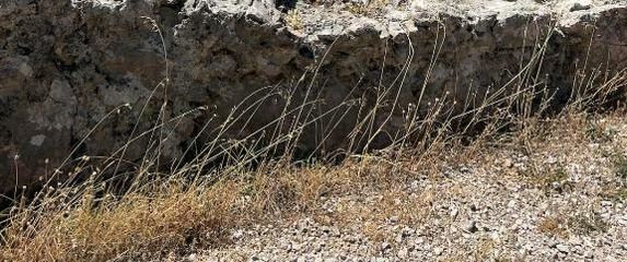 Apartman Morebit - 7