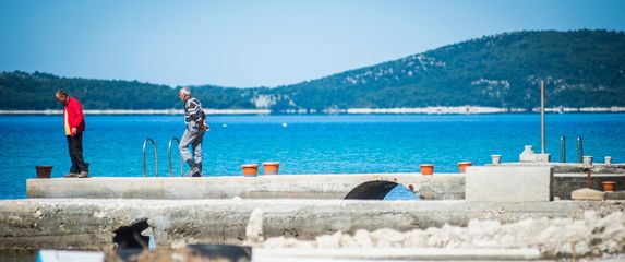 Žaborić, ilustracija