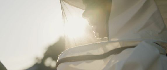 Kako je Filip Raponja stvorio Plan Bee