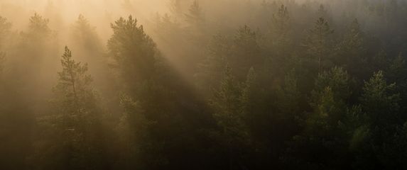 Vremenska prognoza; Ilustracija