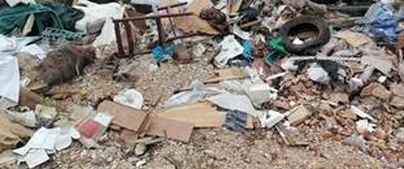 Ilegalno odlagalište otpada - 1