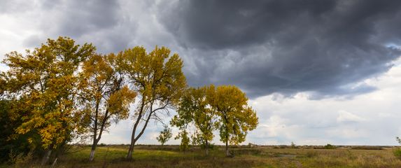 Vremenska prognoza; Ilustracija