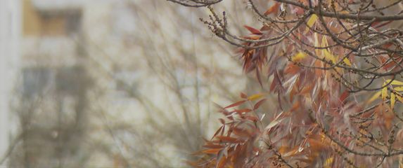 Vrijeme u Hrvatskoj; ilustracija - 4