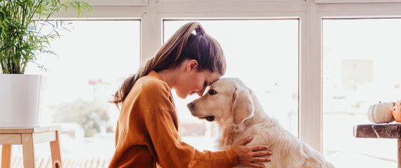 Psi i njihovi vlasnici često dijele određene osobine