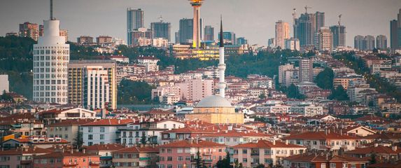 Kviz općeg znanja - 13