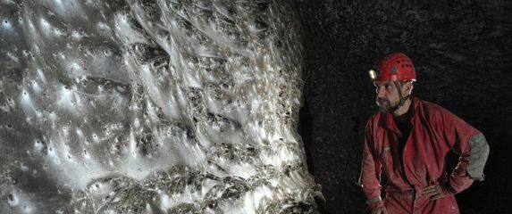 Paukova mreža u Albaniji