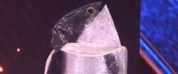 Miss Universe Norveške, Leonora Lysglimt-Rødland