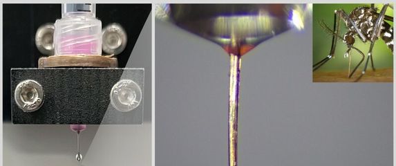 Rilo komarca korišteno kao mlaznica za 3D printanje