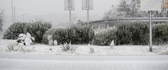 Snijeg u unutrašnjosti Dalmacije