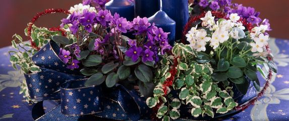 Adventski vijenci ukrašeni cvijećem