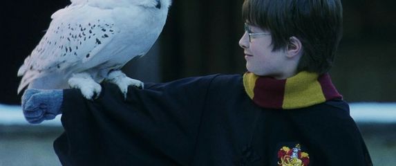 Harry Potter i Kamen mudraca