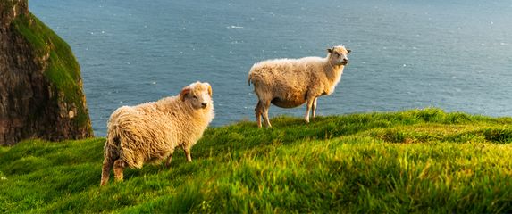 Kako se piše: Farski Otoci ili Farski otoci