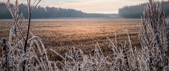Vremenska prognoza; Ilustracija