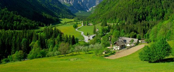 Logarska dolina - 11