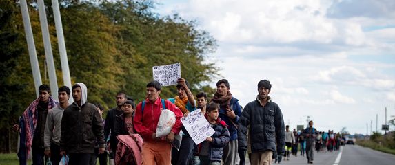 Ilegalni migranti (Foto: AFP)