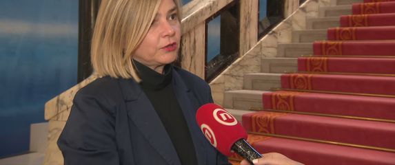 Sandra Benčić, saborska zastupnica