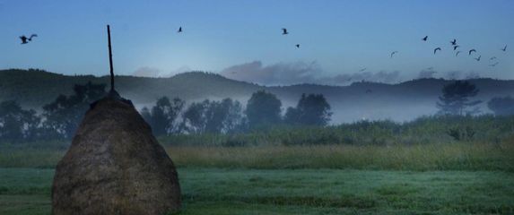 Vineyard Eco Cottage Gruda - 31