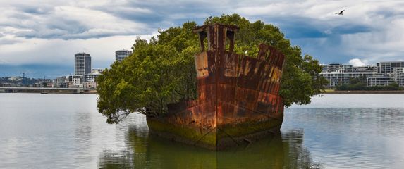 Homebush Bay - 3