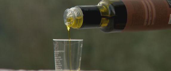 Sezona prerade maslina