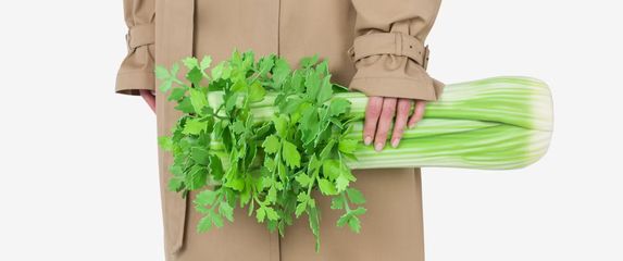 Torba u obliku celera s potpisom Moschina