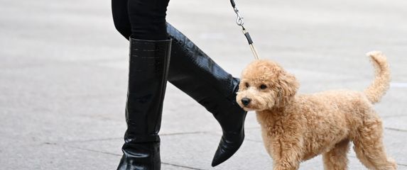 Visoke čizme već viđamo na gradskim ulicama