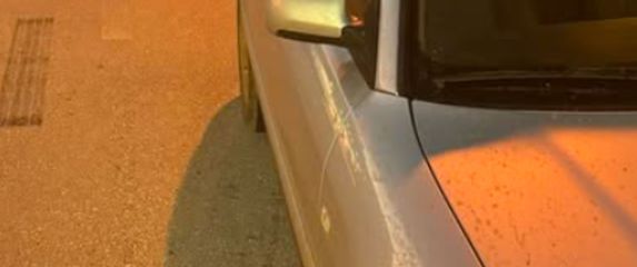 Tele koje viri iz automobila u Cisti Provo