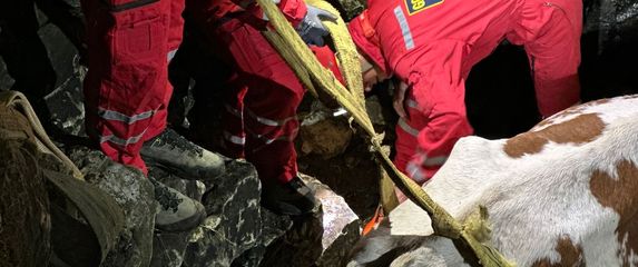 HGSS u akciji spašavanja - 2