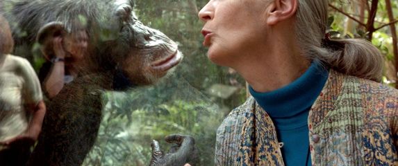 Jane Goodall