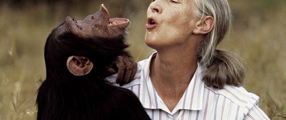 Jane Goodall