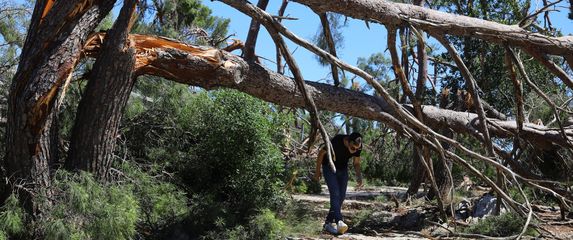 Nevrijeme na Marjanu, ilustracija