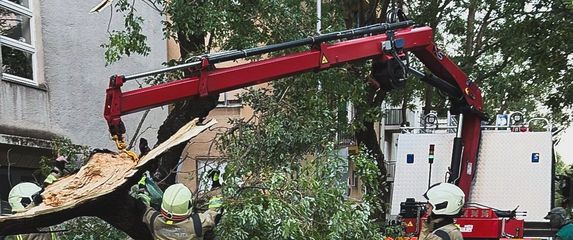 Bura ruši stabla u Splitu