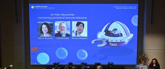 Mary Brunkow, Fred Ramsdell i Shimon Sakaguchi