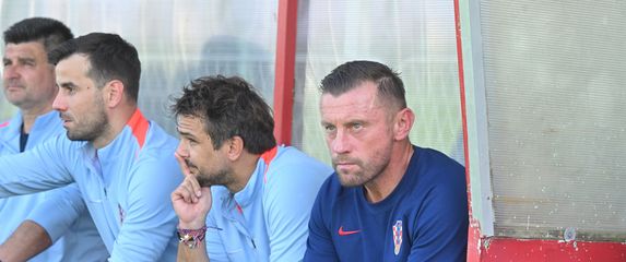 Ivica Olić i suradnici