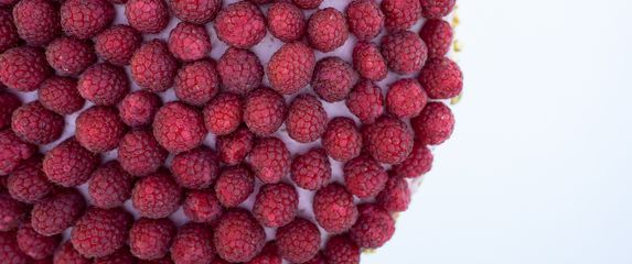 Blind tasting za prste polizati: Najslađa avantura na prvom Festivalu torti u Zagrebu