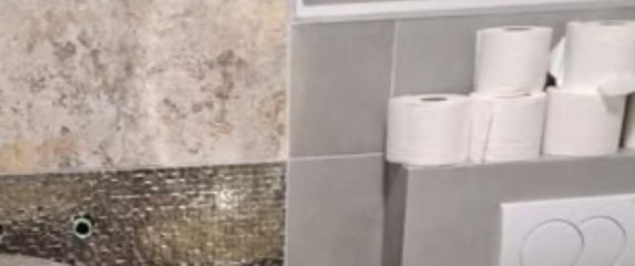 Bizarno uređena kupaonica u Dalmaciji